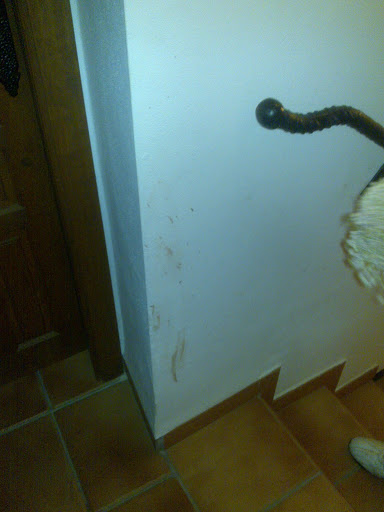 17102009137.jpg