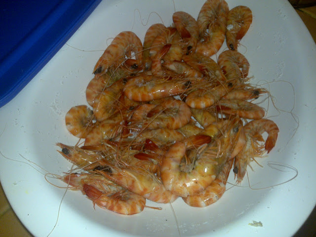 27062010046.jpg