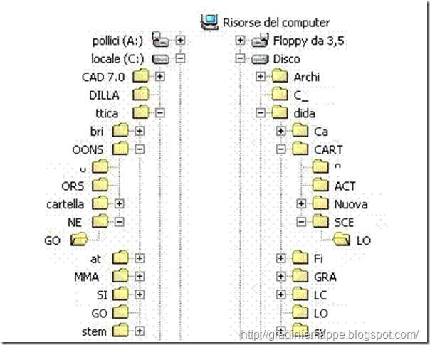 volpe uva 3