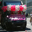 DSCF0245.JPG