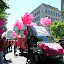 DSCF0263.JPG