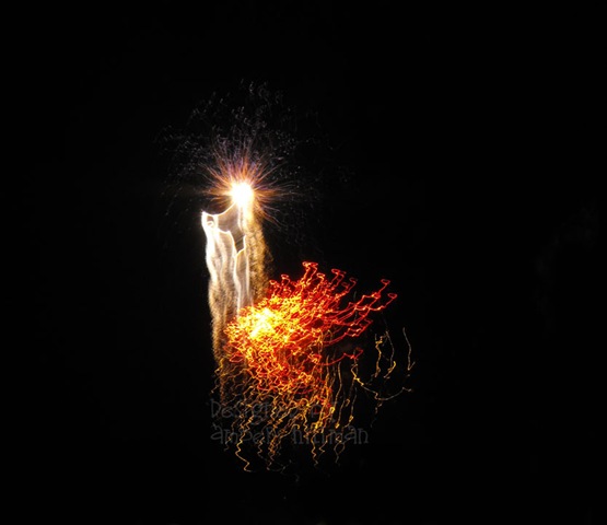 [firework6copy[5].jpg]