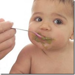 baby food diet