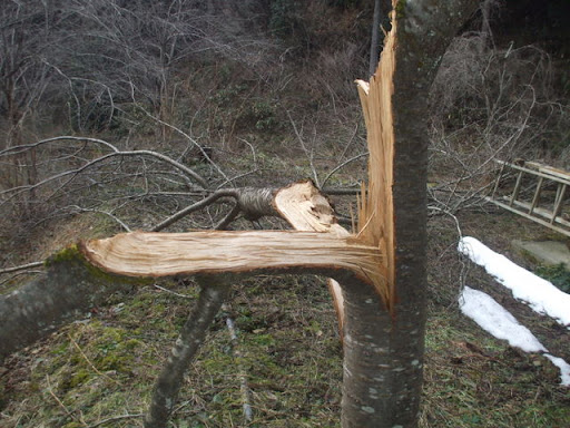 DSCF0649.JPG