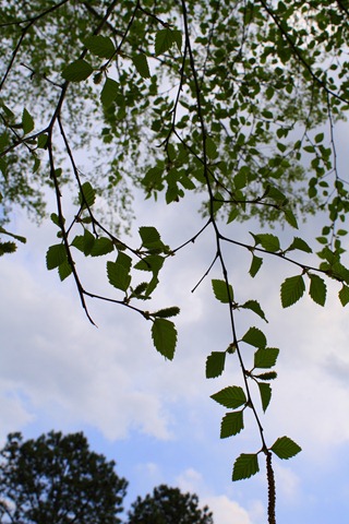 [April201123214.jpg]