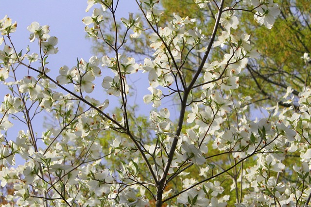 [April201107911.jpg]