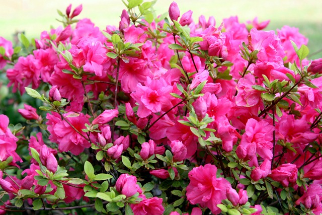 [April201105011.jpg]