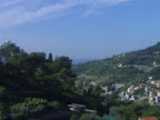 Land Plot in Vallebona 7000 mq