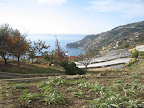 Villa in Ospedaletti 120 mq