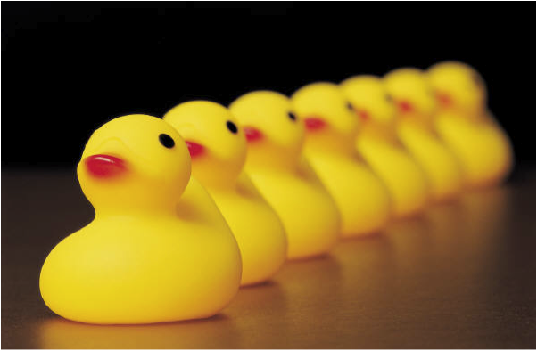 ducks in a row.png