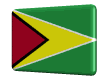Rotated Guyana flag