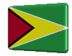 Rotated Guyana flag