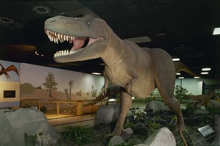 Dinosaurio Dinosaurio