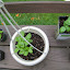 wendyhosier's Container garden