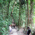 BUKIT TIMAH 8-14-2009 10-51-52 PM 2448x3264.JPG, TRAIL TAKEN BY LORRAINE LAUREN AND BRADLEY, SINGAPORE NATURE PRESERVE SINGAPORE ZOO AND NIGHT SAFARI