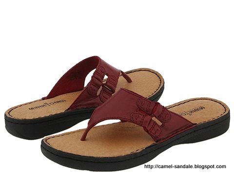 Camel sandale:sandale-362288