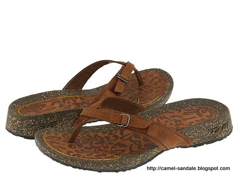 Camel sandale:sandale-362697