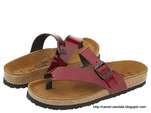 Camel sandale:sandale-362790