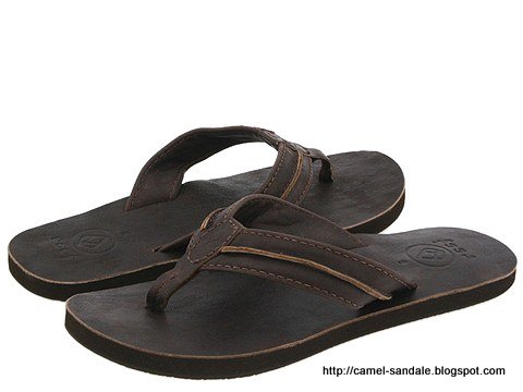 Camel sandale:sandale-363049