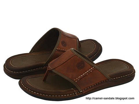 Camel sandale:sandale-363057