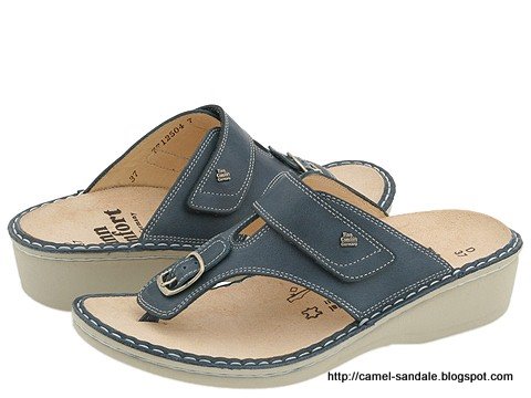Camel sandale:sandale-363093