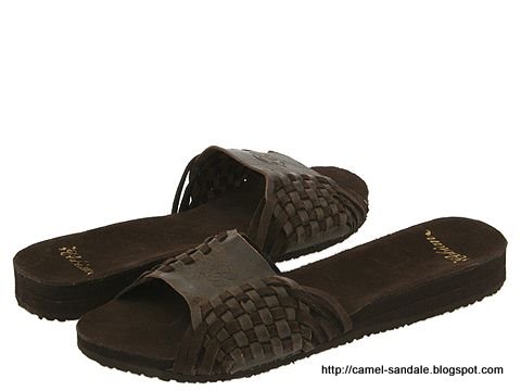 Camel sandale:sandale-366305