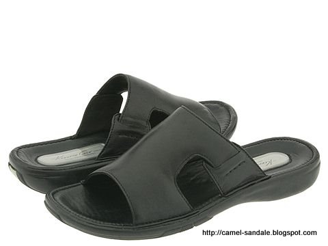 Camel sandale:sandale-363915