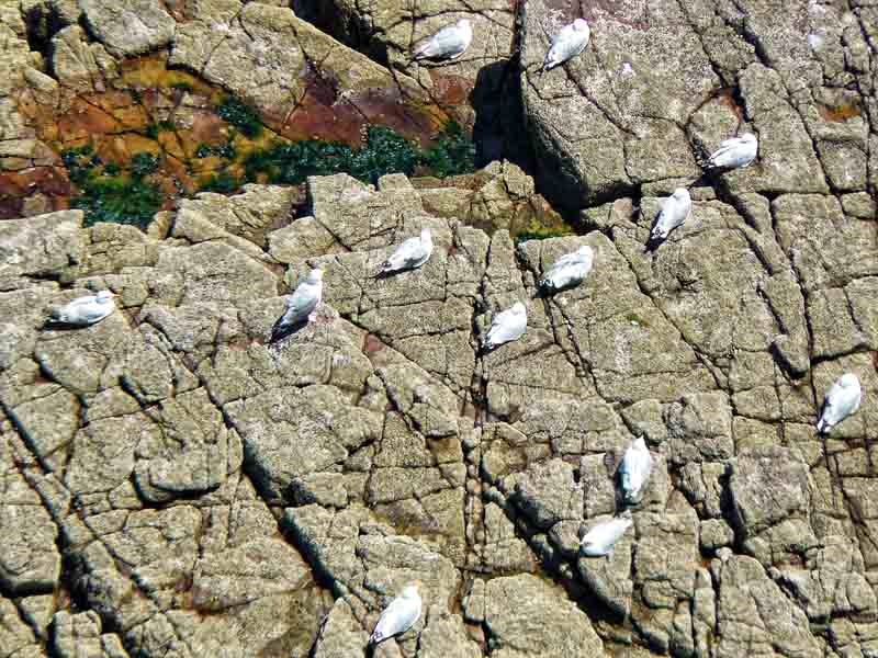 Мыс Фреель - сap Frehel 