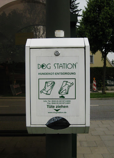 dog station