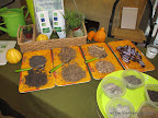 Mulch, Compost and Soil before and after