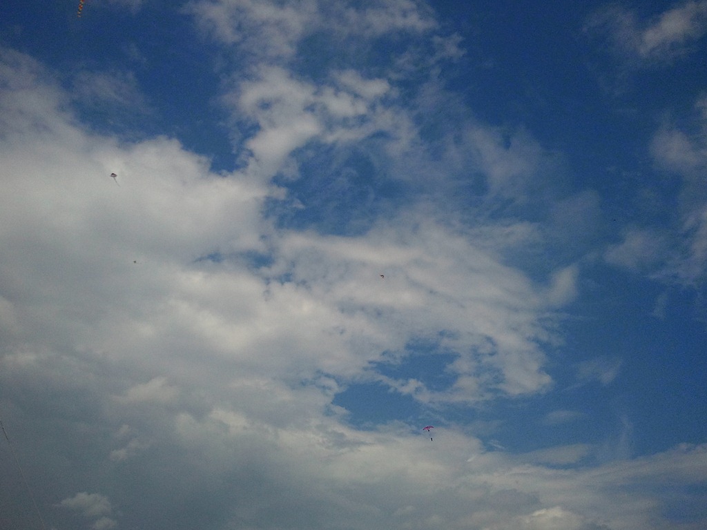 [2010-12-12 15.17.39[3].jpg]
