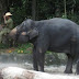 Malesia%20ja%20singapore%2009-10%20194