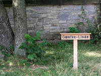 Schild