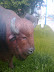 2009-06-10 10.08.49.jpg