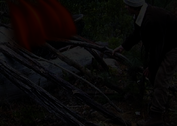 [lean_to_fire16.png]