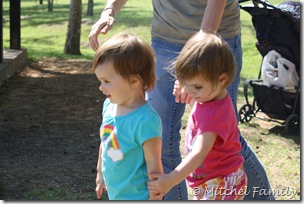 IMG_6635 IMG_6635
