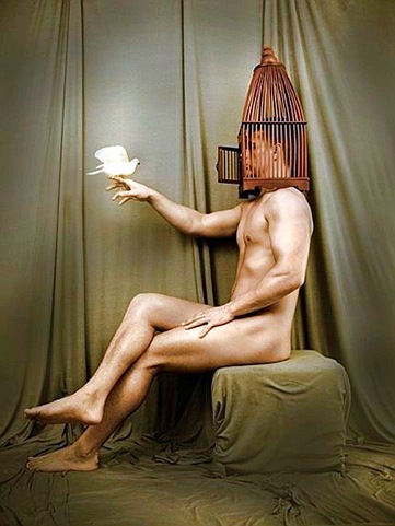 [4860640012950_phixr[7].jpg]
