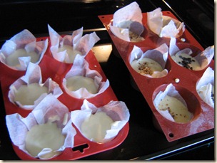 IMG_1650 IMG_1650