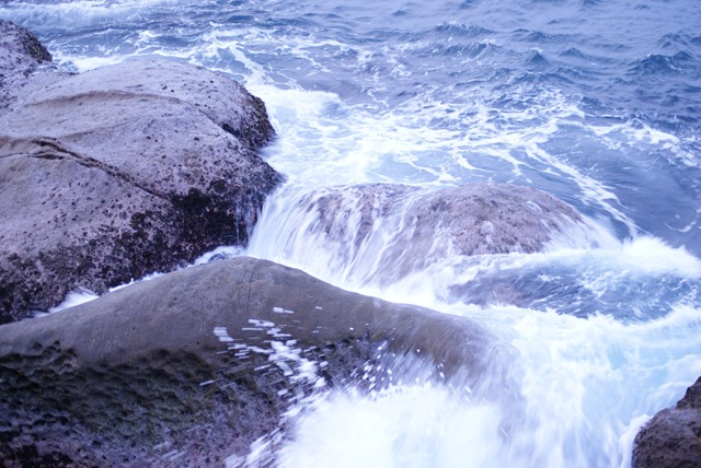 [DSC04248[11].jpg]