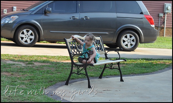 DSC_0553 DSC_0553