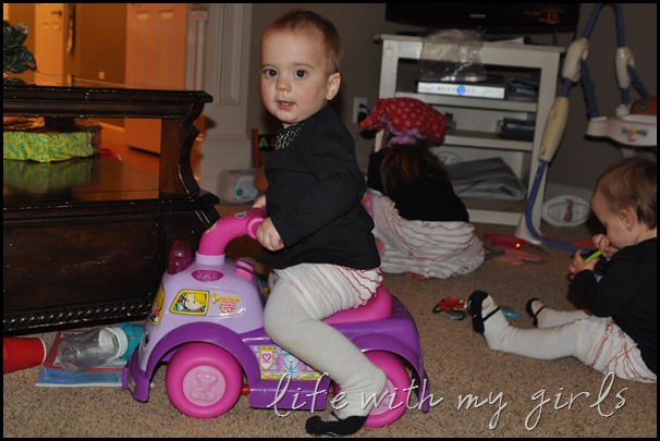 DSC_8955 DSC_8955