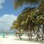 DSC02839.JPG