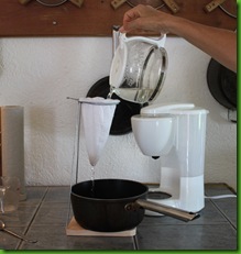 coffee filter transformed coffee filter transformed