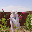 DSC04913.JPG