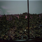 P1010100.JPG