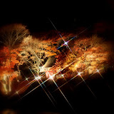 香嵐渓, 夜景, 紅葉 ...akira52785274128999538552978