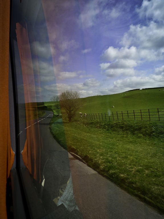 [P1190441[4].jpg]