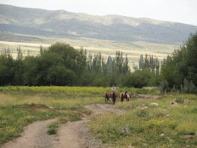 Our mounts were galloped back to the coral by Jannika.