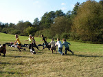 PICT0142.jpg