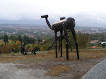PICT0191.jpg